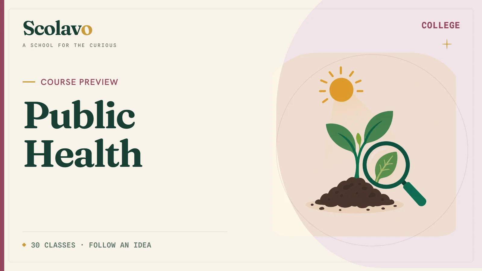 Public Health — Scolavo video cover