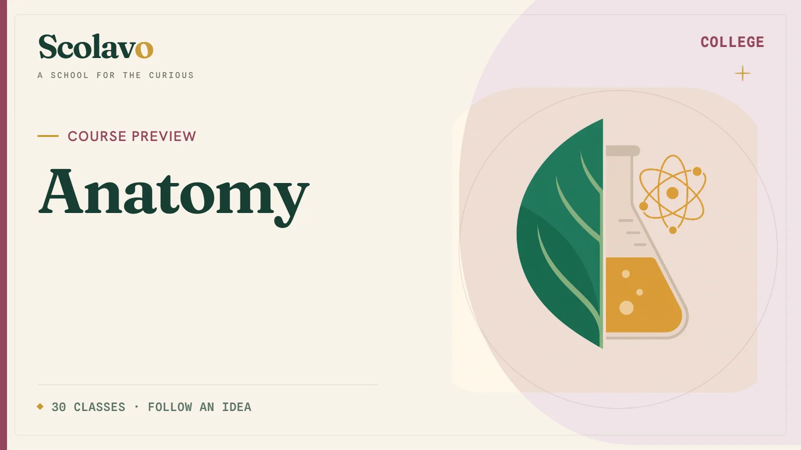 Anatomy — Scolavo video cover
