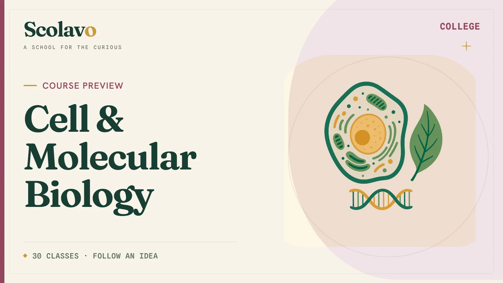 Cell & Molecular Biology — Scolavo video cover