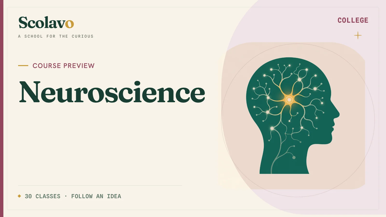 Neuroscience — Scolavo video cover