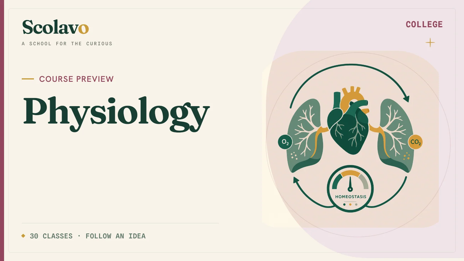 Physiology — Scolavo video cover